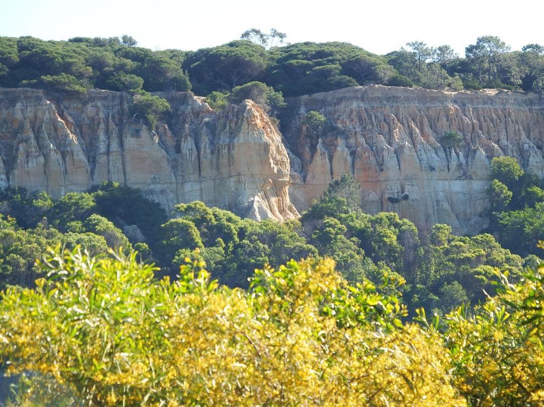 Arriba Fóssil da Costa de Caparica景点图片