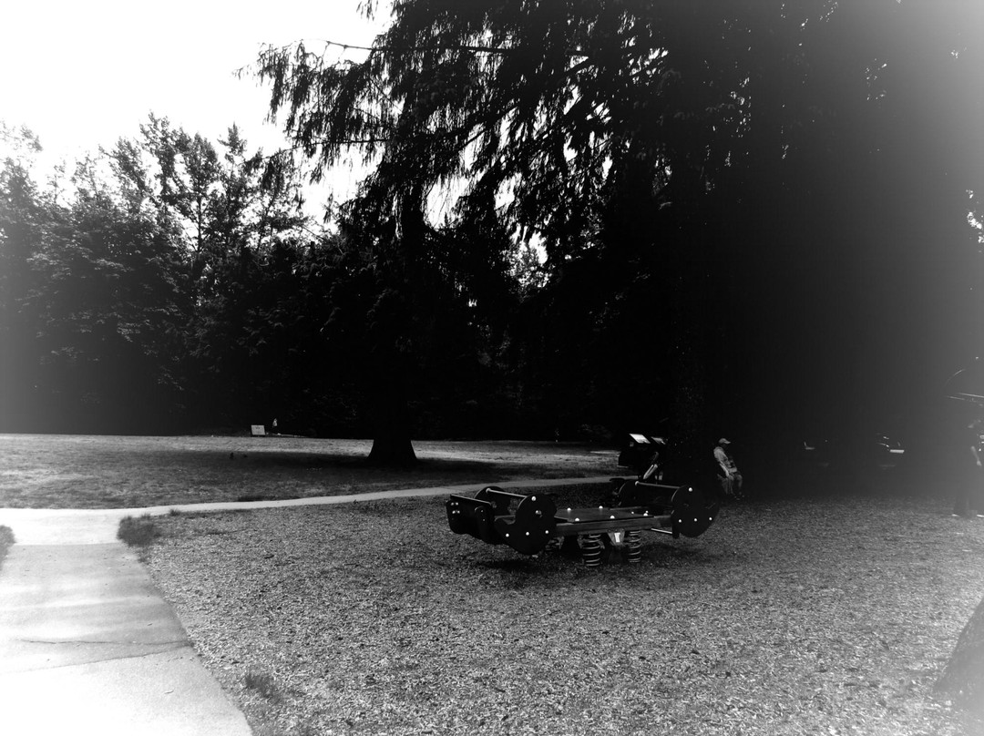 Maple Ridge Park-枫树岭必去景点