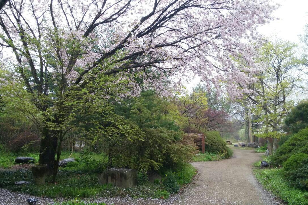 Kicheongsan Botanical Gardens-浦项市必去景点