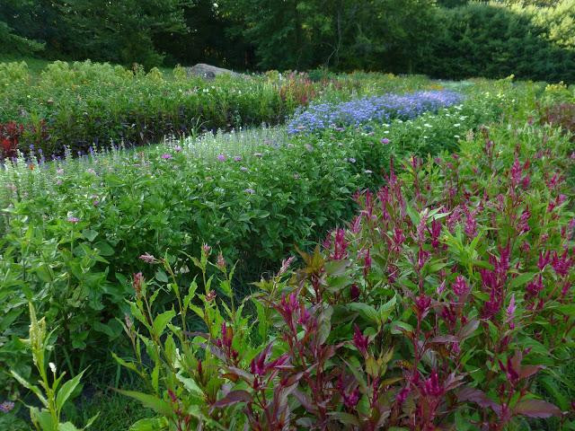 Brittany Hollow Farm-Rhinebeck必去景点