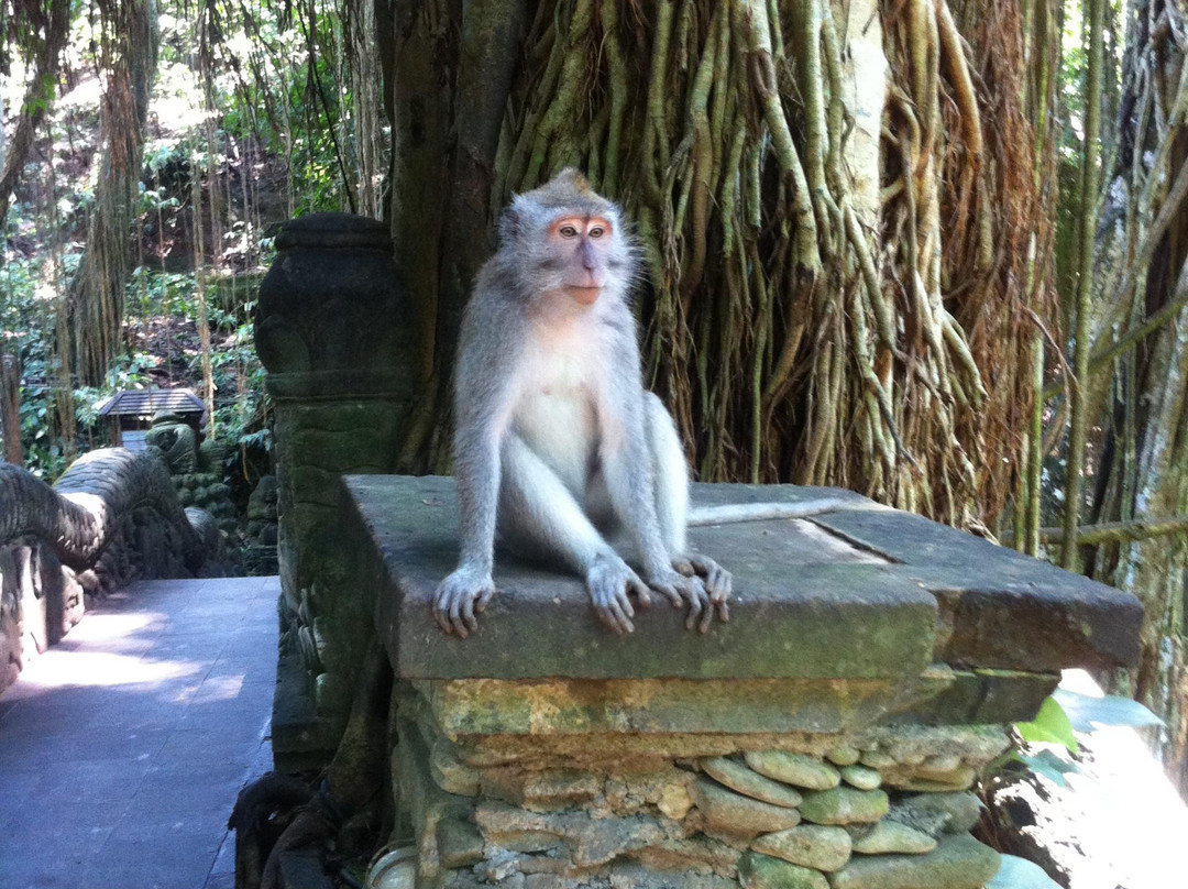 Online Bali Tour Services-孟格威必去景点