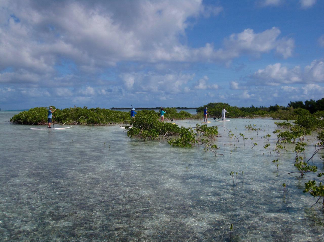 Big Blue Collective-普罗维登西亚莱斯必去景点