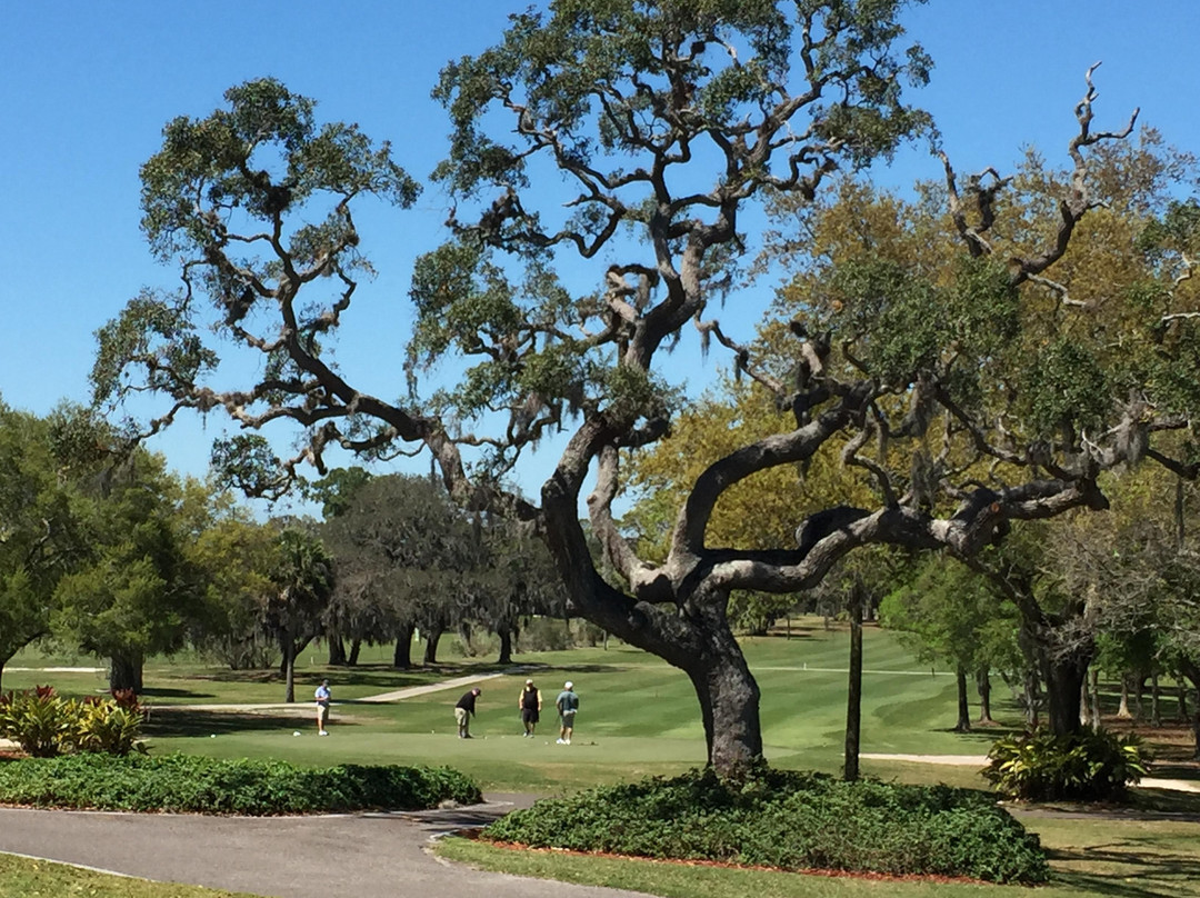 Dunedin Golf & Country Club-达尼丁必去景点