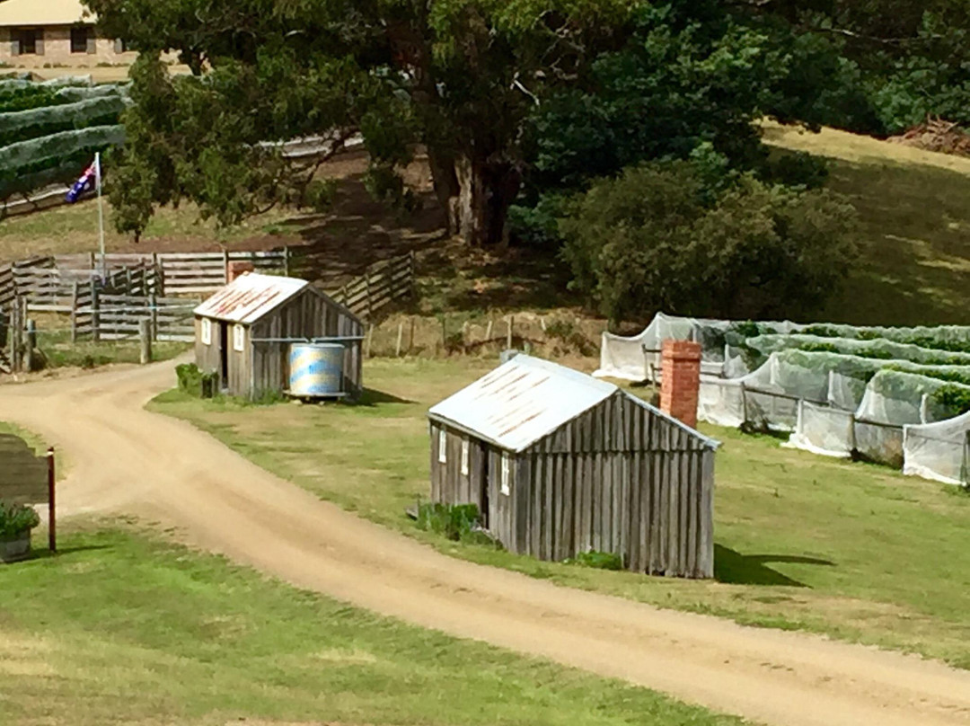 Hartzview Vineyard-Gardners Bay必去景点