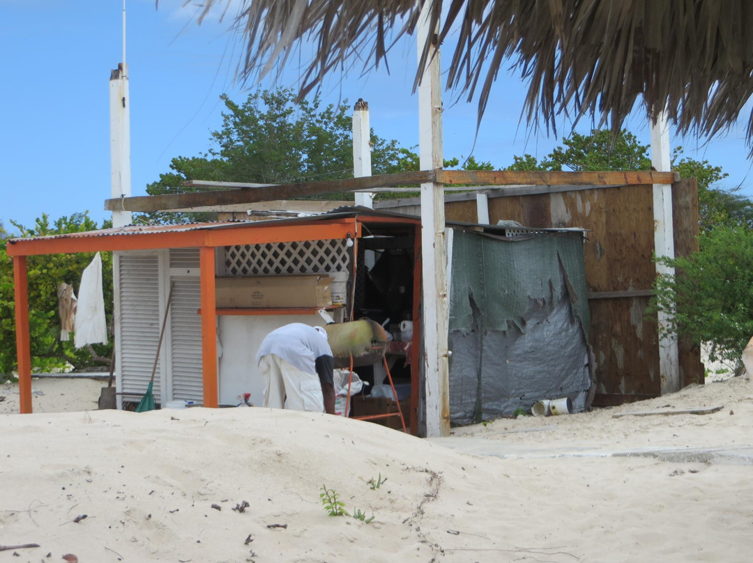 Pink Sand Beach-巴布达必去景点