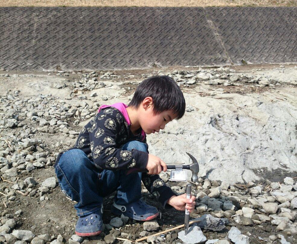 Mizunami Fossil Museum-瑞浪市必去景点