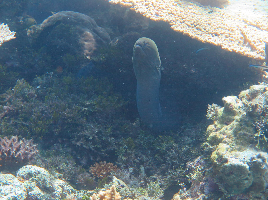 HP暗礁-满月岛必去景点