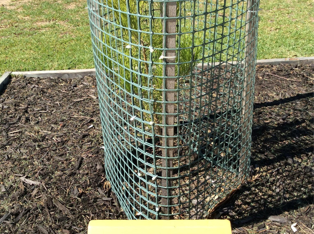 Mandurah War Memorial-曼杜拉必去景点