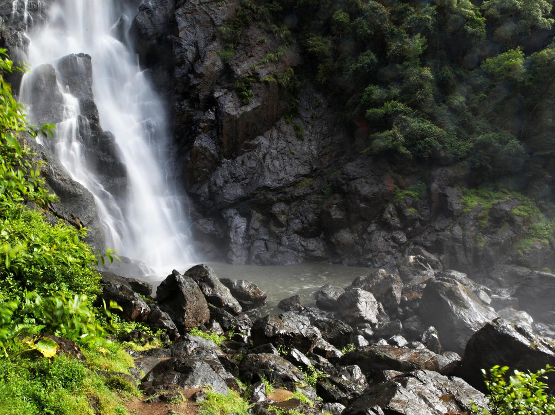 Ellenborough Falls-Elands必去景点
