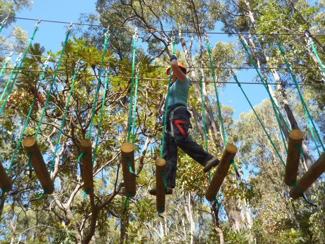 Treetops Adventure Dwellingup景点图片