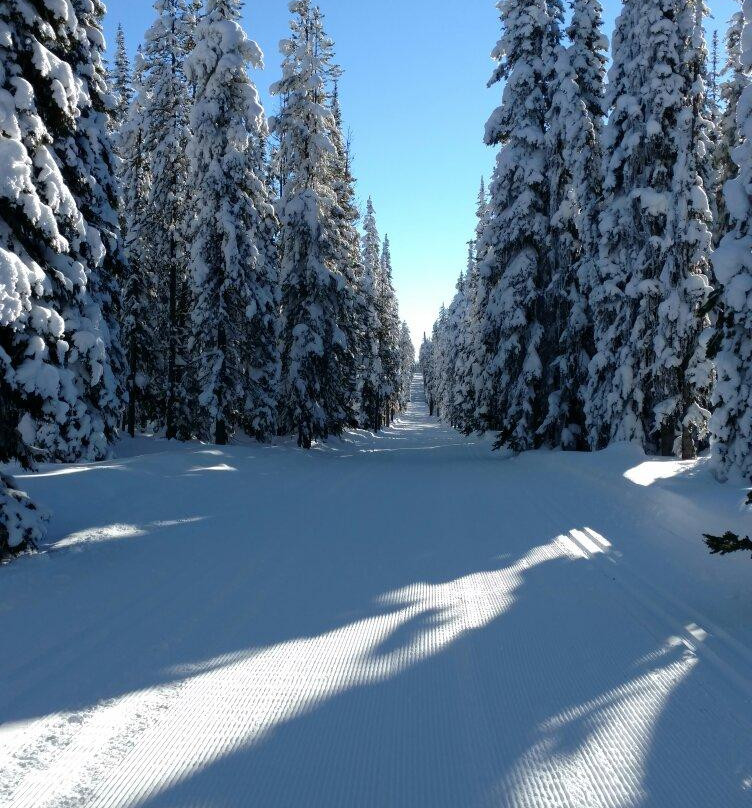 Chief Joseph Cross Country Ski Trail景点图片
