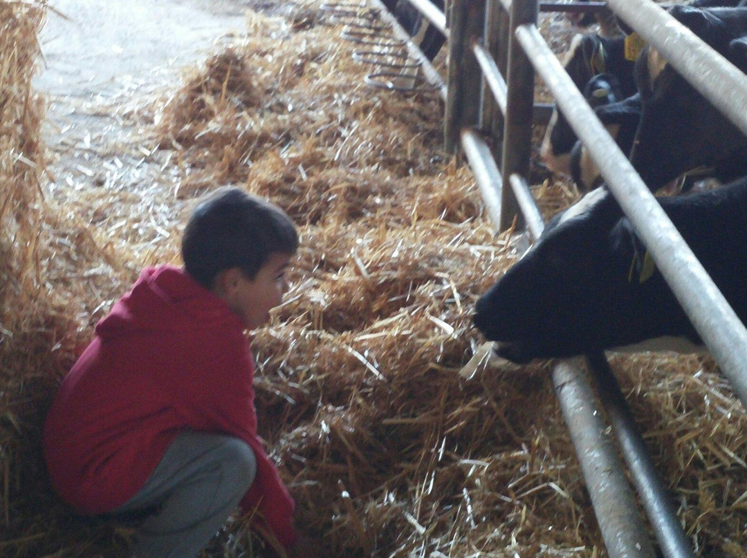 Kurlander Farm-Beit Hillel必去景点