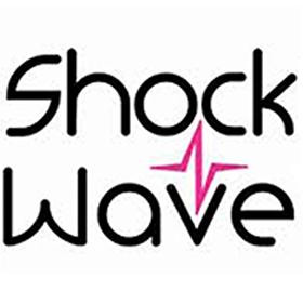 Shockwave Land Cruisers-普利茅斯必去景点