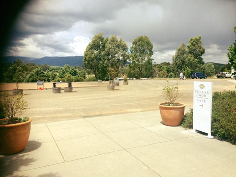 Top Down Tours-墨尔本必去景点