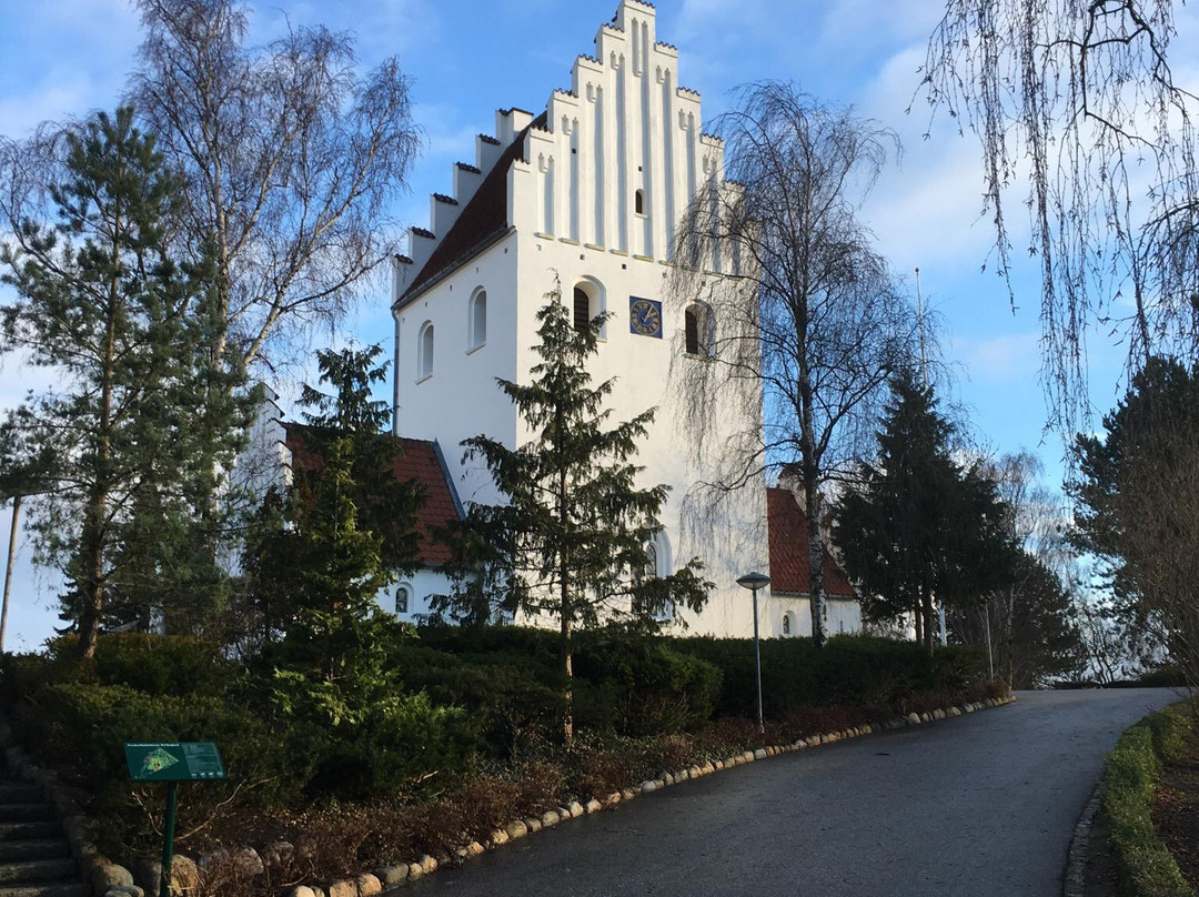 Frederikskirken景点图片
