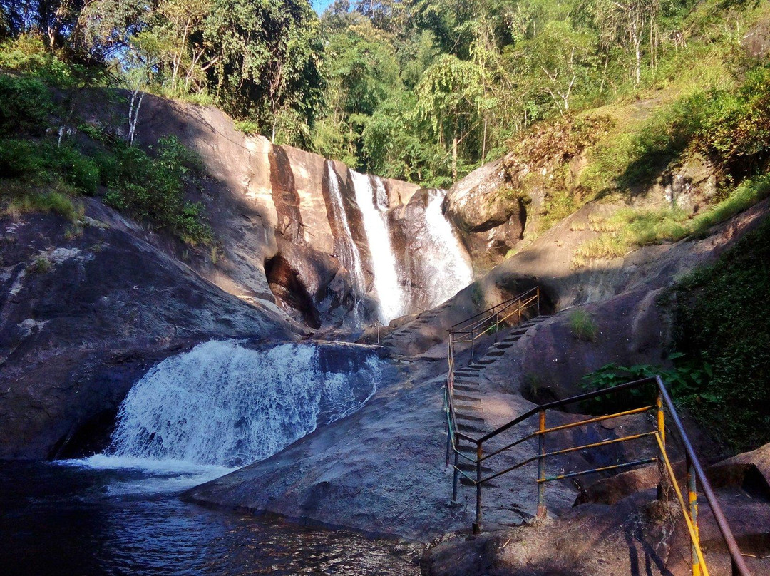 Kumbhavurutty Waterfalls景点图片
