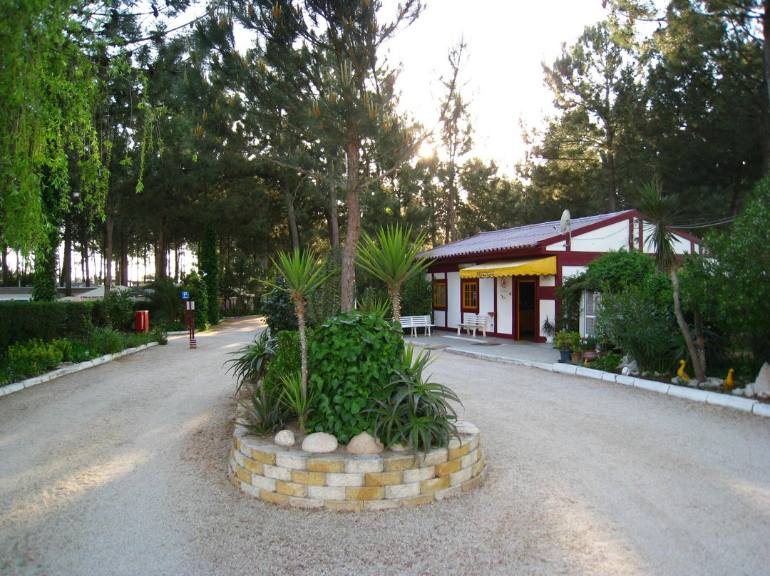 Camping Vasco da Gama