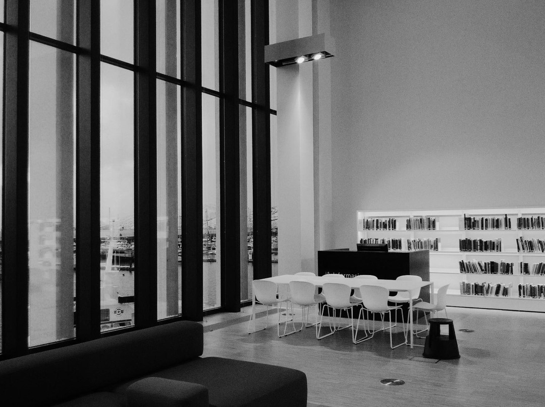 Stormen library