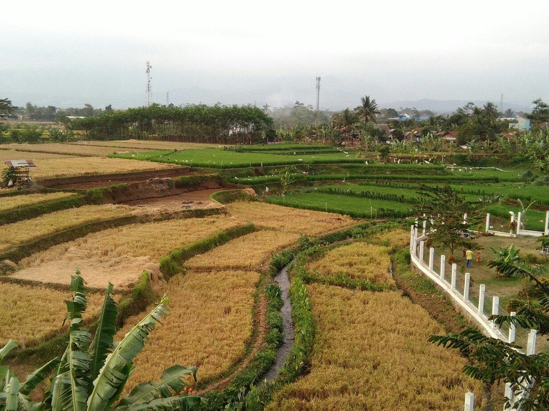 Balai Kemambang Park景点图片