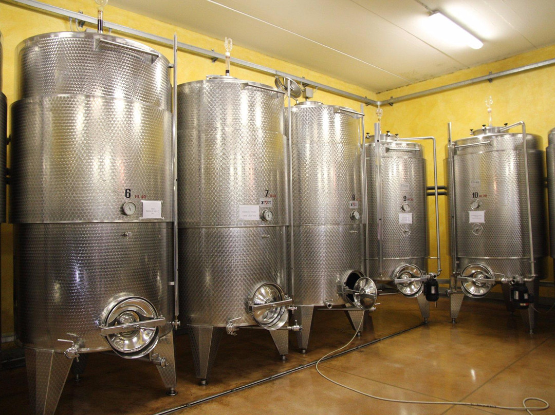 Albino Rocca Winery-巴尔巴雷斯科必去景点