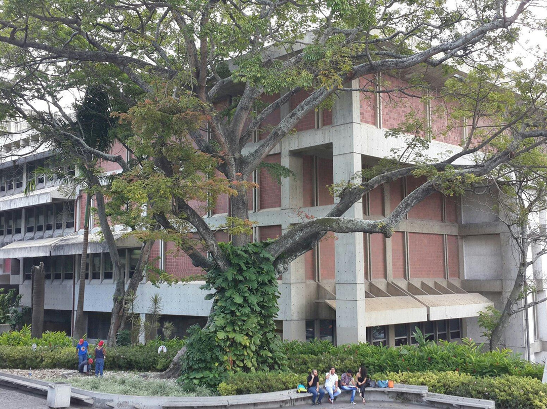 Biblioteca Nacional de Venezuela景点图片