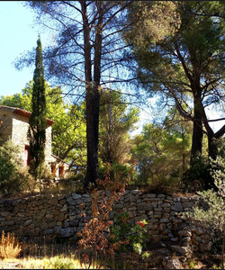 Carrières de Bibémus景点门票图片