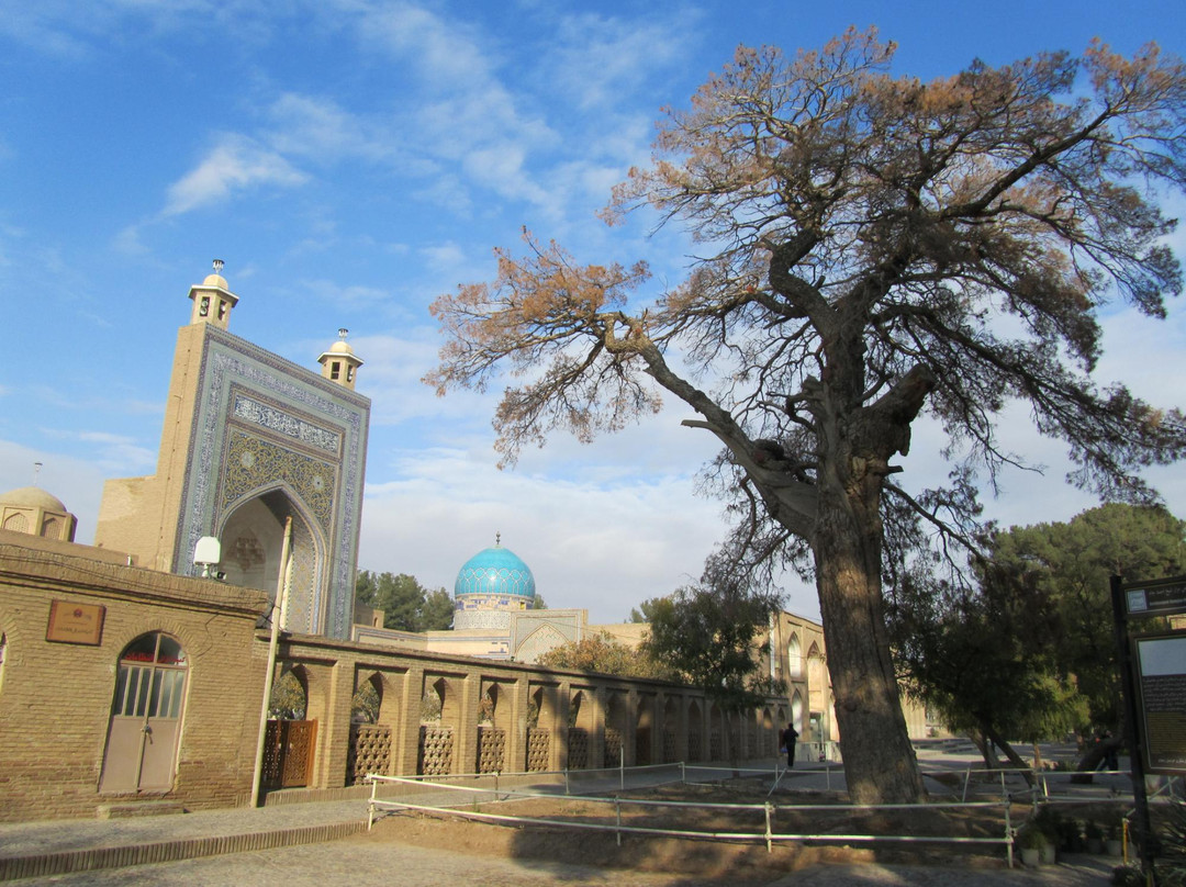 Sheikh Ahmad-e Jami Mausoleum Complex-Torbat-e Jam必去景点