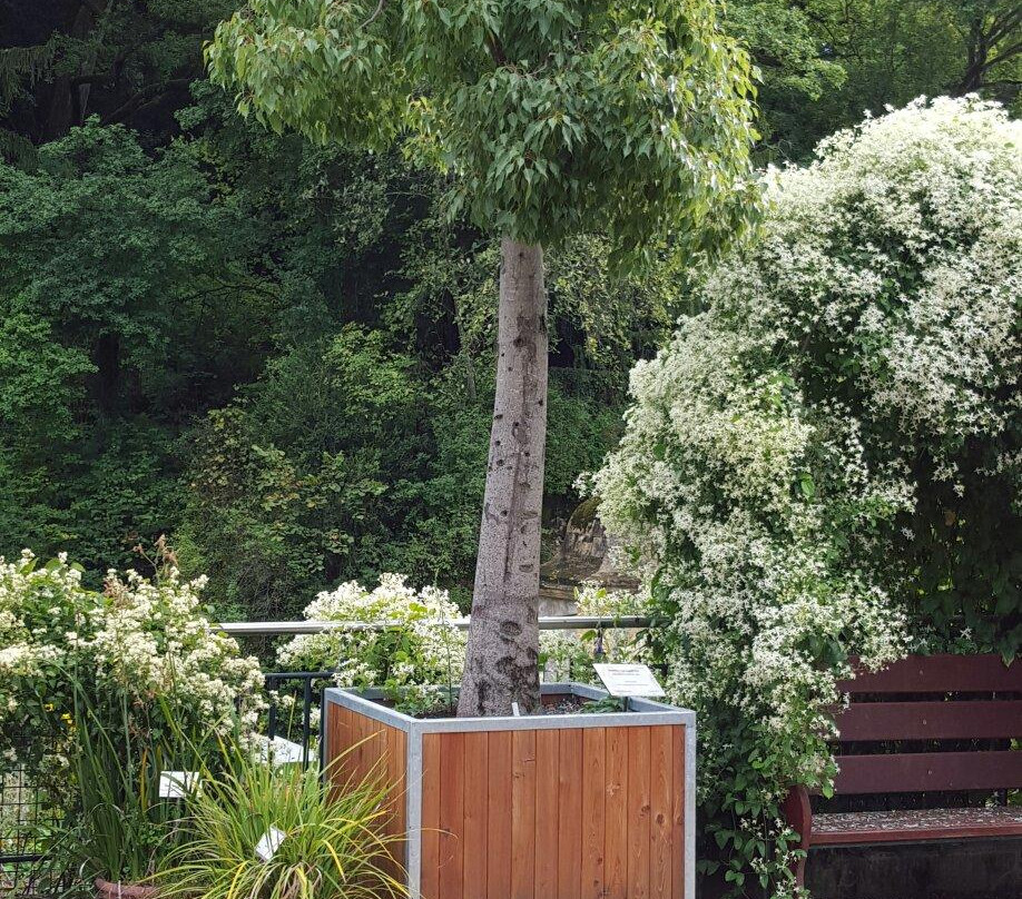 Jardin Botanique de Neuchatel-纳沙泰尔必去景点