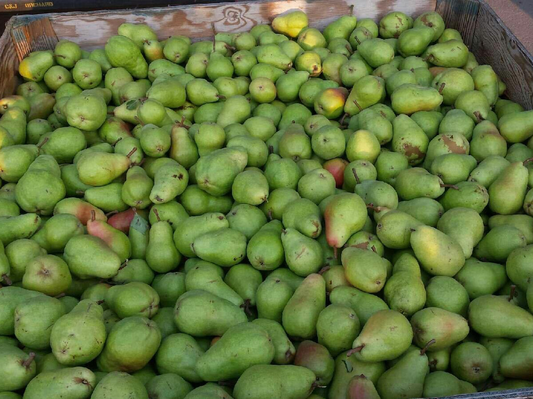 AC&D Farms-Fruitland必去景点