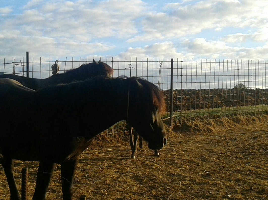 Agriturismo Amarant主图