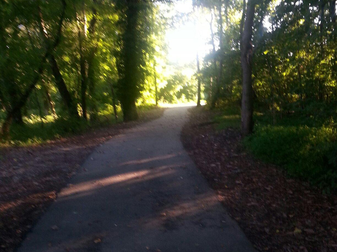 Roslyn Landing Park景点图片