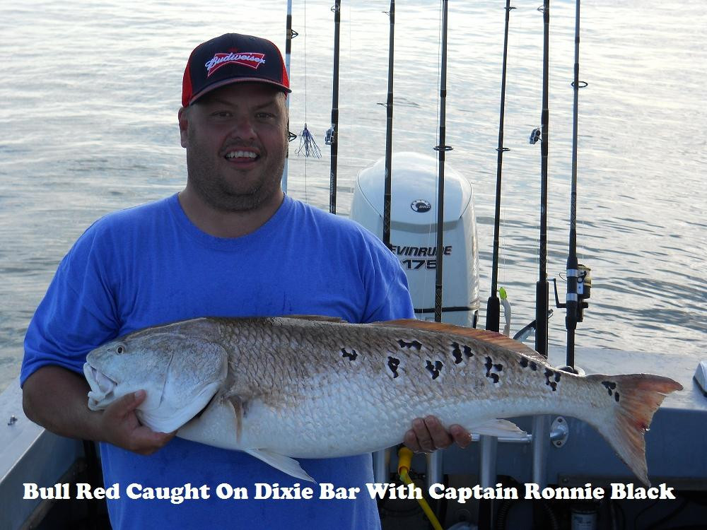 Reel Attraction Charters-格尔夫海岸必去景点