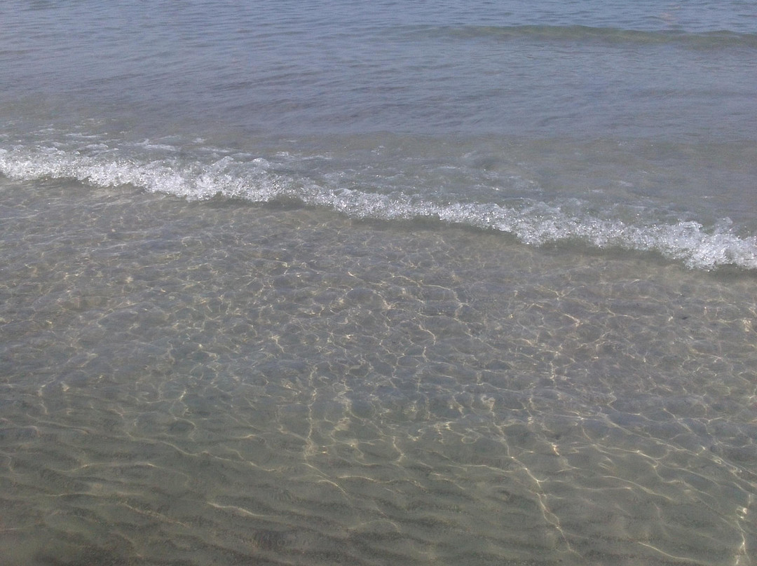 Camping Tripesce