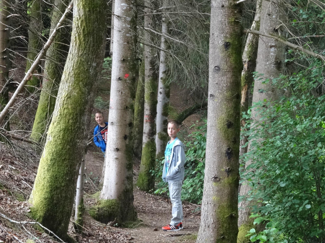 Sentier d’Interprétation de l’étang du Masvaudier景点图片