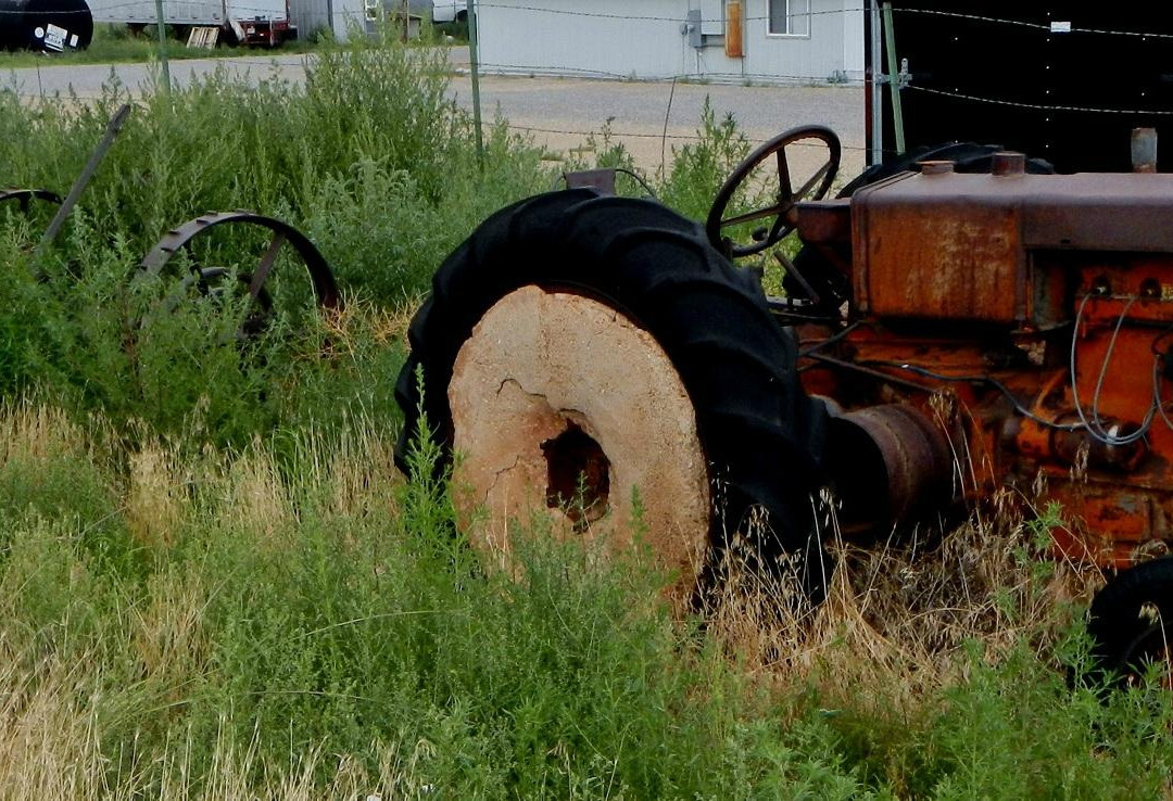 Huck's Museum and Trading Post-布兰丁必去景点