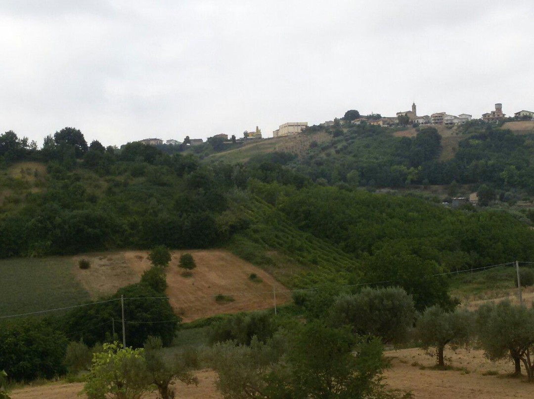 Rosa Spina B&B