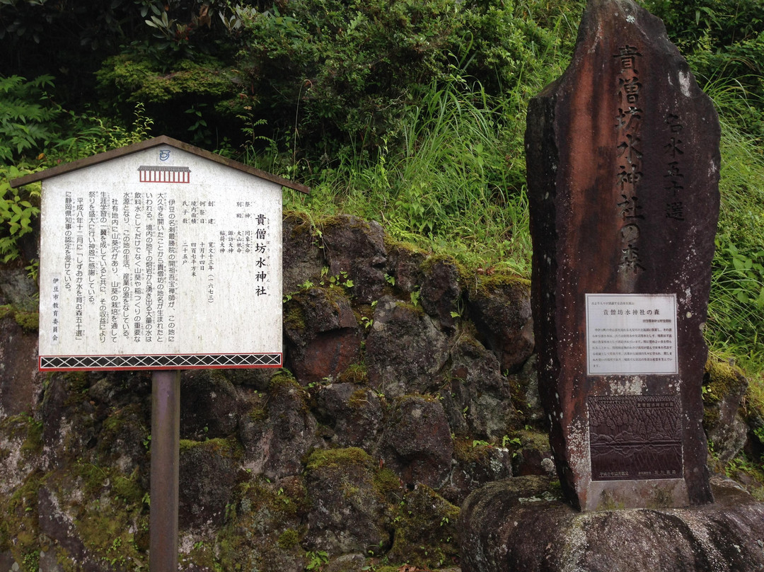 Kisobo Sui Shrine-伊豆市必去景点