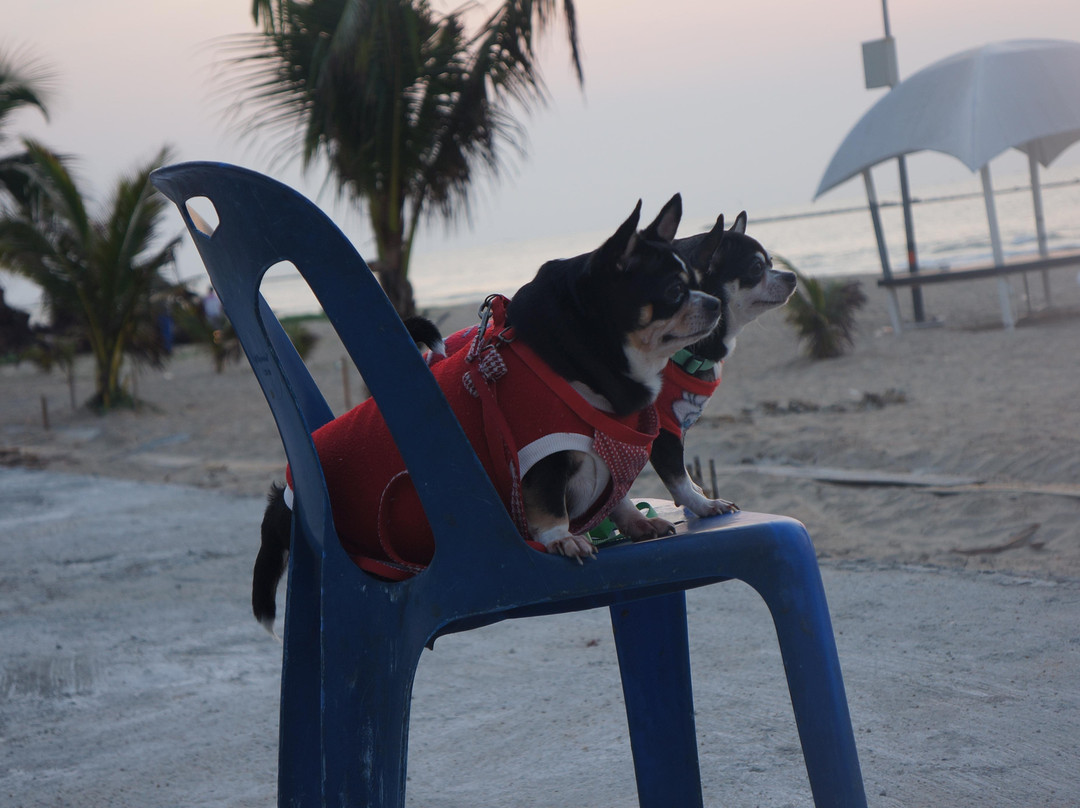 Chaosamran Beach Resort主图