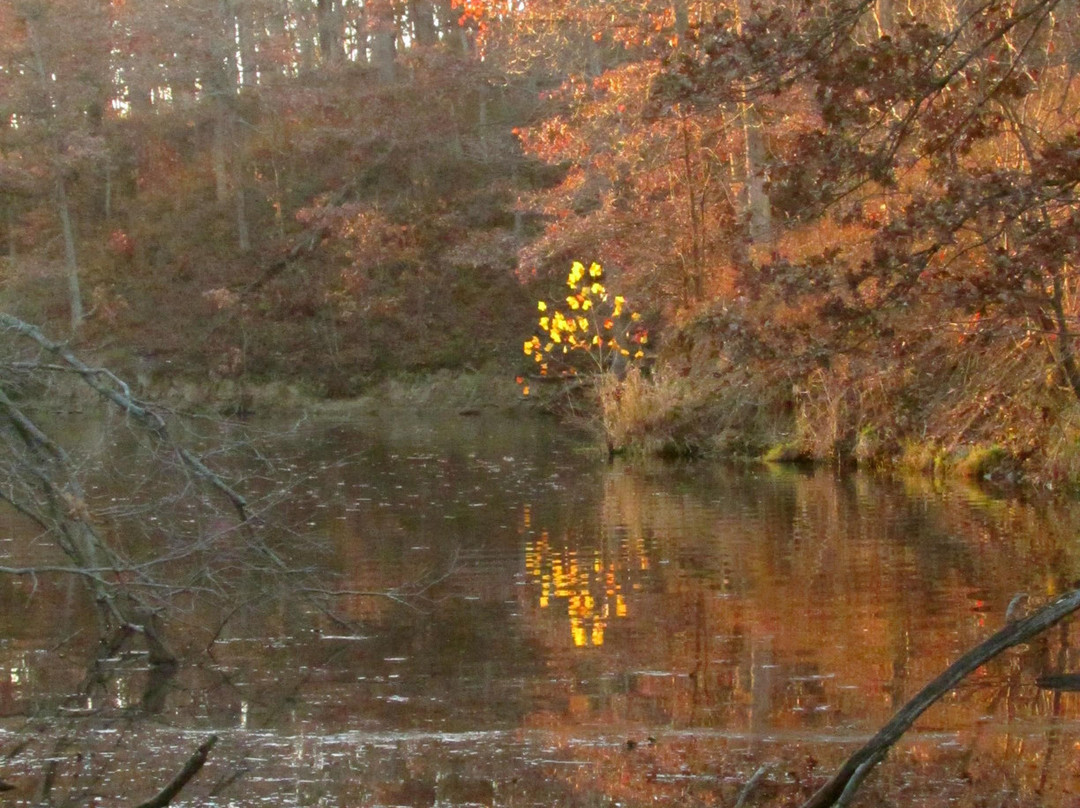 Shoal Creek Conservation Area-Litchfield必去景点