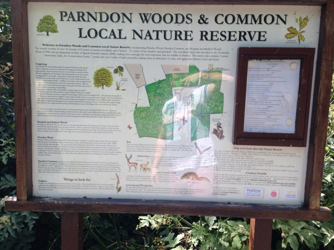 Parndon Wood Nature Reserve景点图片
