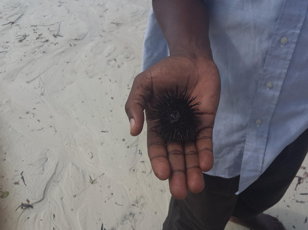 Nyali Beach-蒙巴萨必去景点