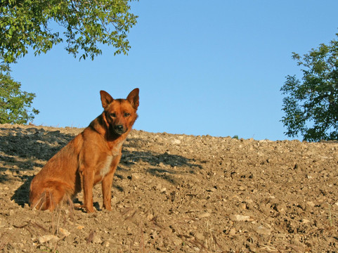 Limerock Orchards-帕索罗布尔斯必去景点