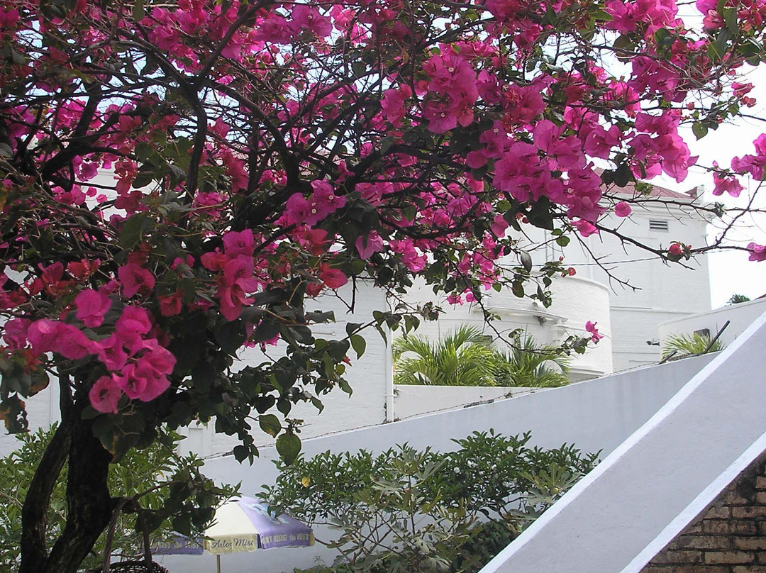 Seven Arches Museum-夏洛特阿马利亚必去景点