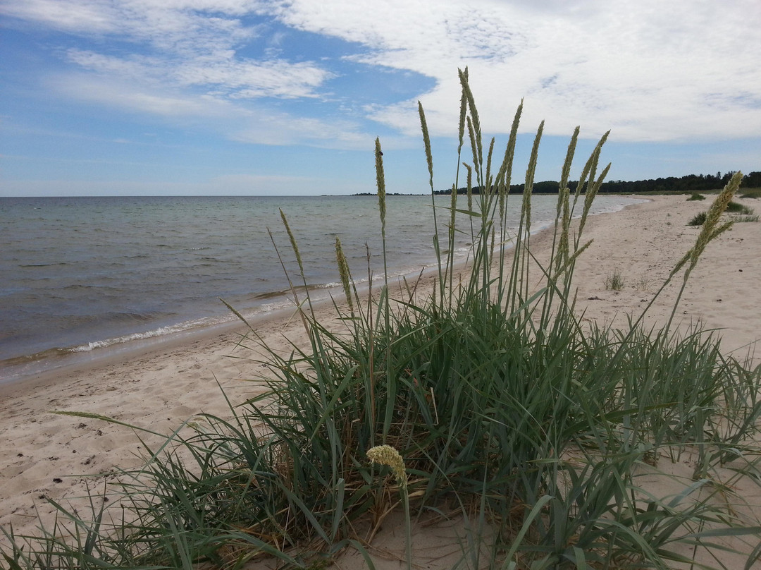 Bodagardens Camping