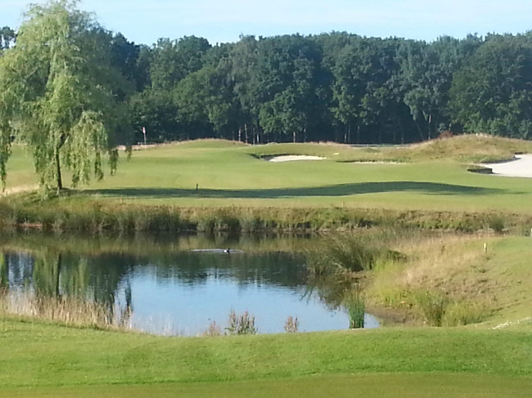 Bosrijk De Kuluut主图