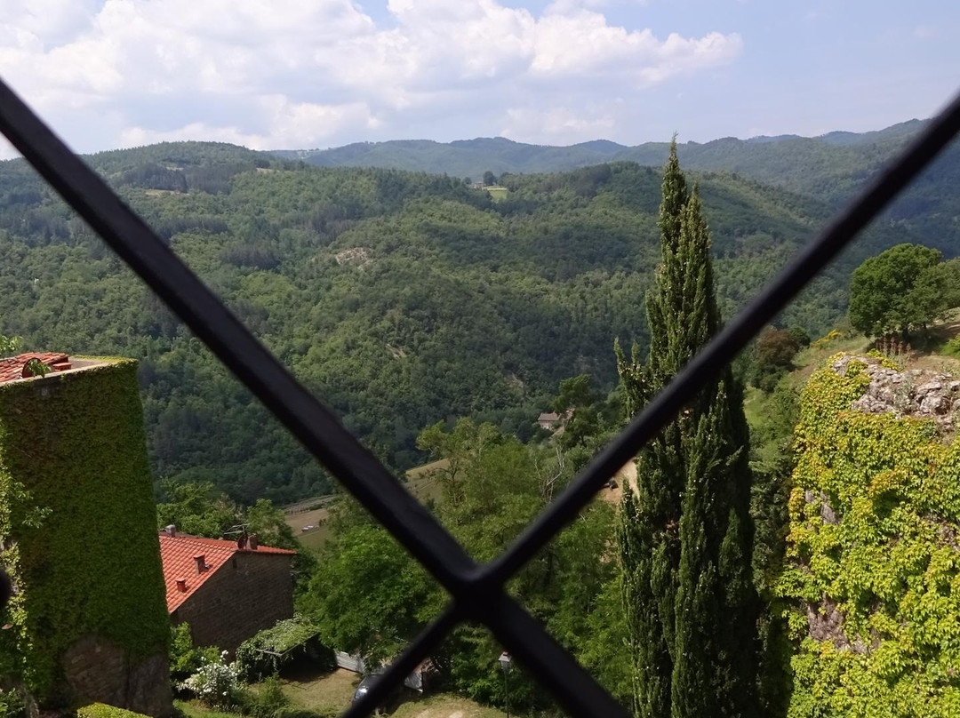 Castello di Porciano景点图片