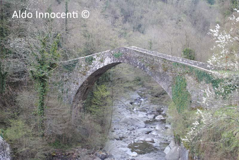 Ponte Dei Mulini景点图片