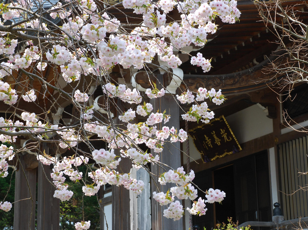 Kouzenji Temple-松前町必去景点