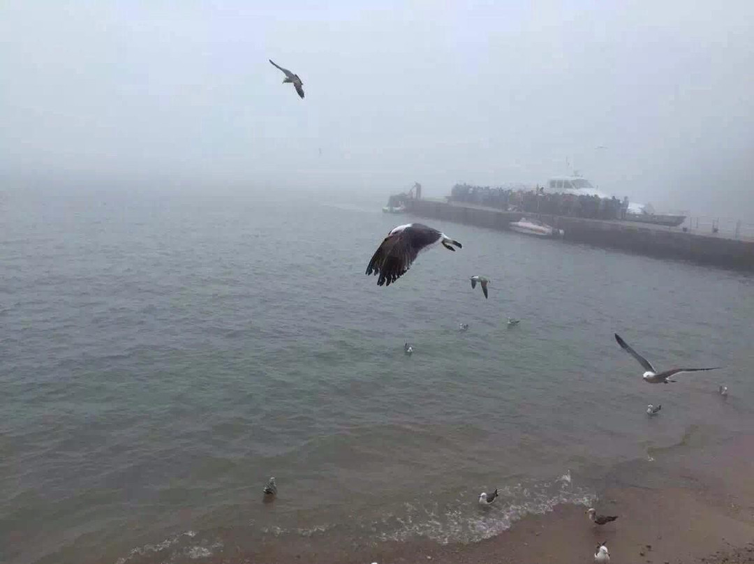海驴岛-荣成市必去景点