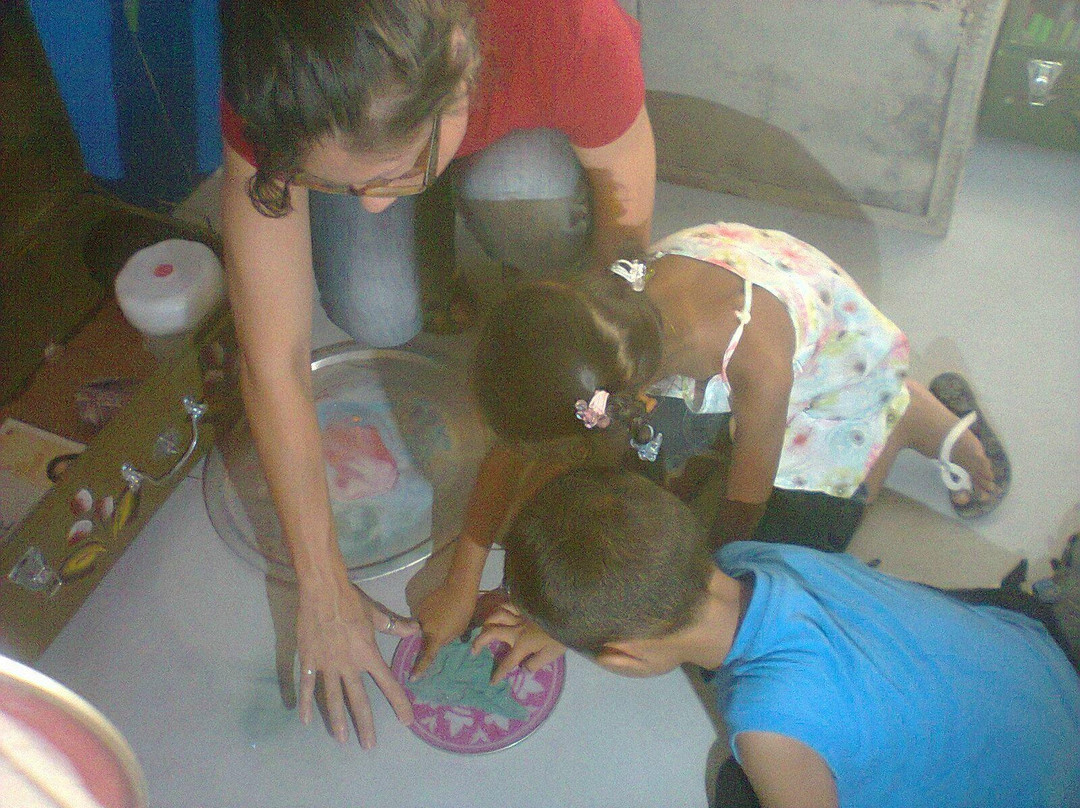 Stichting Villa Zapakara voor Kind & Cultuur-帕拉马里博必去景点